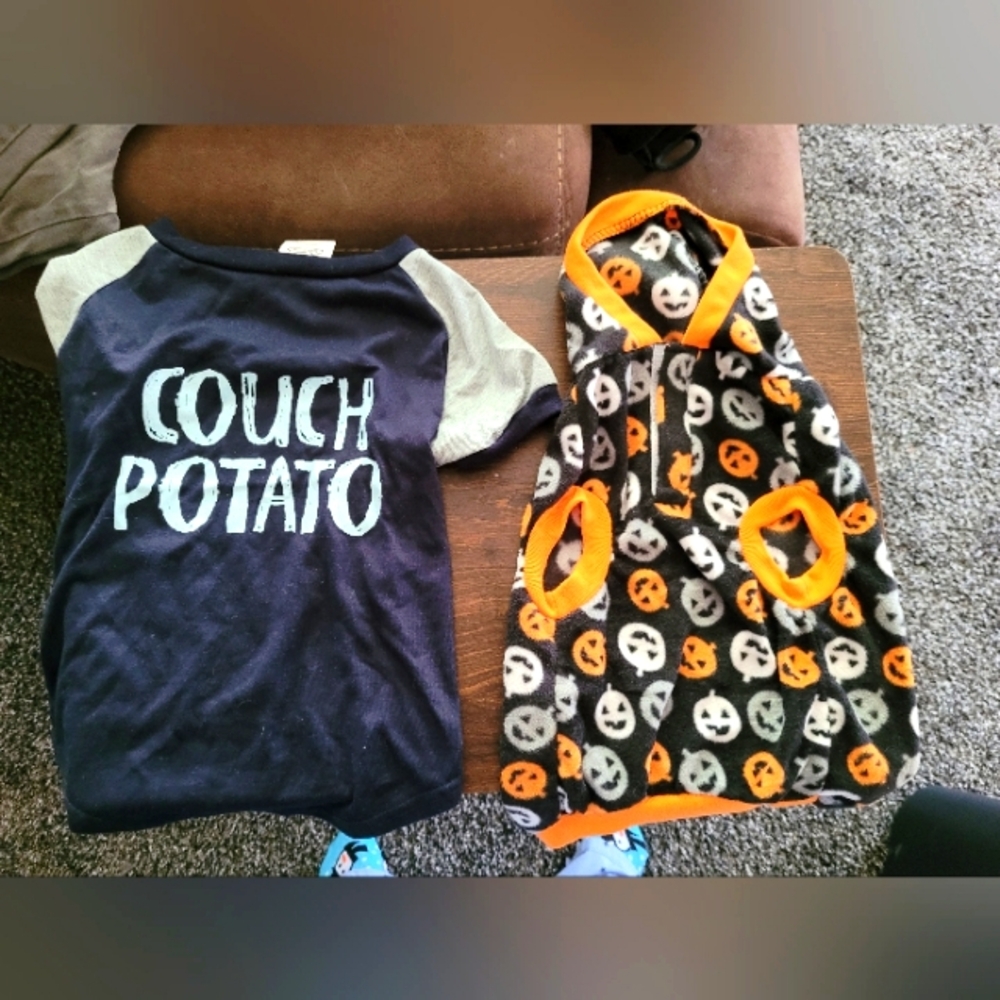 Dog outfits - 2